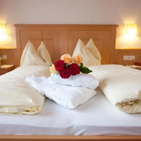 Otel Elisabeth Fügen