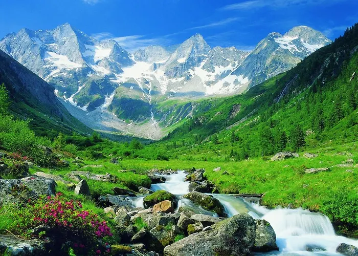 מלון Elisabeth פוגן